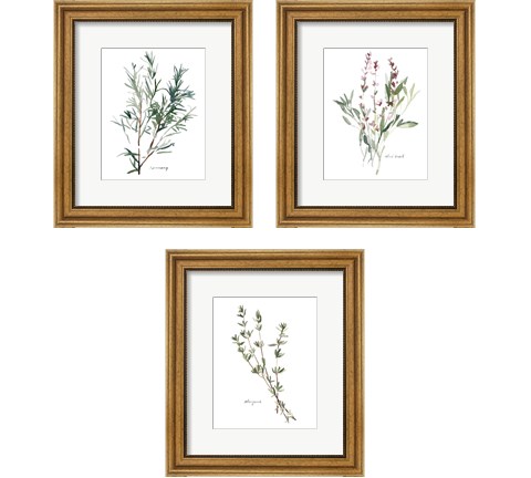 Herb Garden Sketches 3 Piece Framed Art Print Set by Emma Scarvey