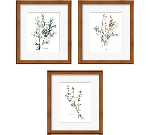 Herb Garden Sketches 3 Piece Framed Art Print Set by Emma Scarvey