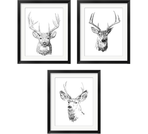 Young Buck Sketch 3 Piece Framed Art Print Set by Emma Scarvey