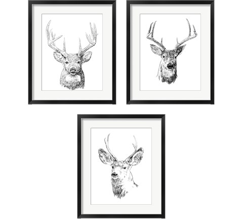 Young Buck Sketch 3 Piece Framed Art Print Set by Emma Scarvey