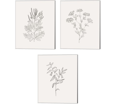Wild Foliage Sketch 3 Piece Canvas Print Set by Victoria Borges