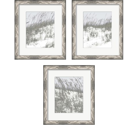 Lush Dunes 3 Piece Framed Art Print Set by Sharon Chandler
