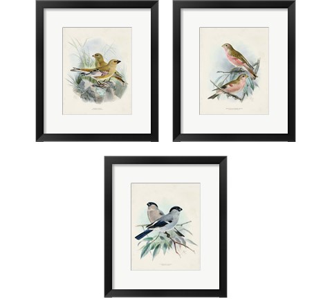 Antique Birds 3 Piece Framed Art Print Set