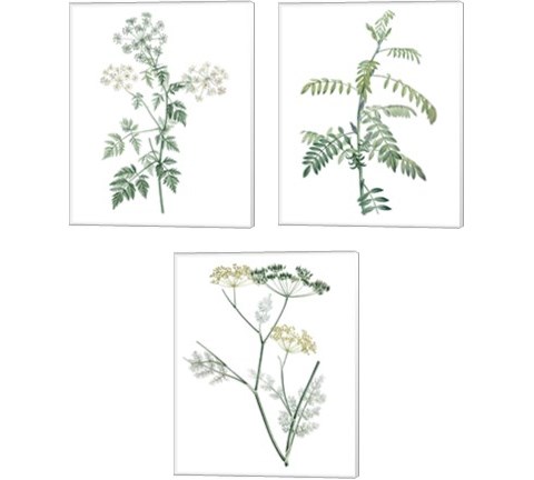 Soft Green Botanical 3 Piece Canvas Print Set by Vision Studio