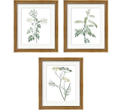 Soft Green Botanical 3 Piece Framed Art Print Set by Vision Studio