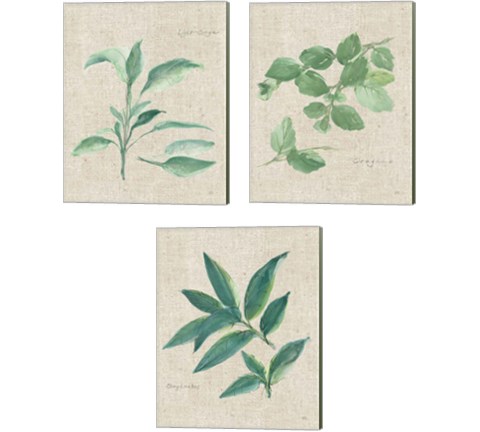 Herbs on Burlap 3 Piece Canvas Print Set by Chris Paschke