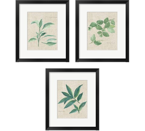 Herbs on Burlap 3 Piece Framed Art Print Set by Chris Paschke