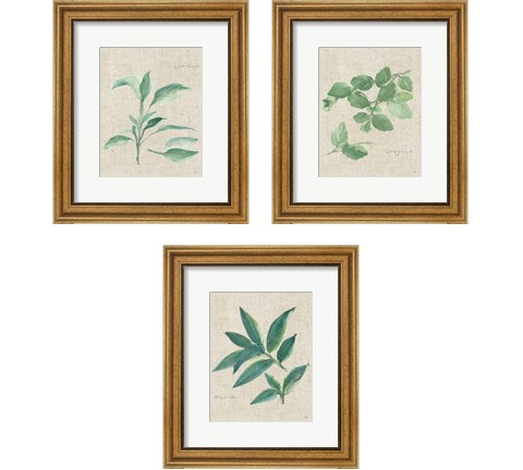 Herbs on Burlap 3 Piece Framed Art Print Set by Chris Paschke