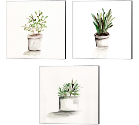 Potted Botanicals 3 Piece Canvas Print Set by Marcy Chapman