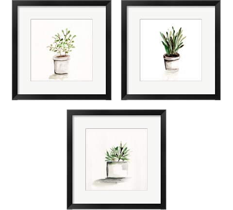 Potted Botanicals 3 Piece Framed Art Print Set by Marcy Chapman