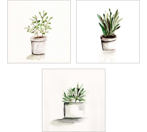 Potted Botanicals 3 Piece Art Print Set by Marcy Chapman