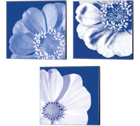 Flower Pop blue 3 Piece Canvas Print Set by Marie-Elaine Cusson