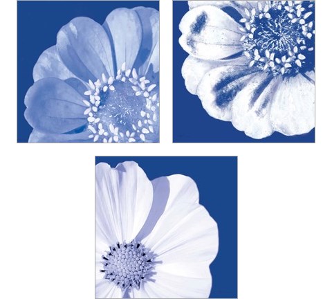 Flower Pop blue 3 Piece Art Print Set by Marie-Elaine Cusson