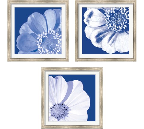Flower Pop blue 3 Piece Framed Art Print Set by Marie-Elaine Cusson