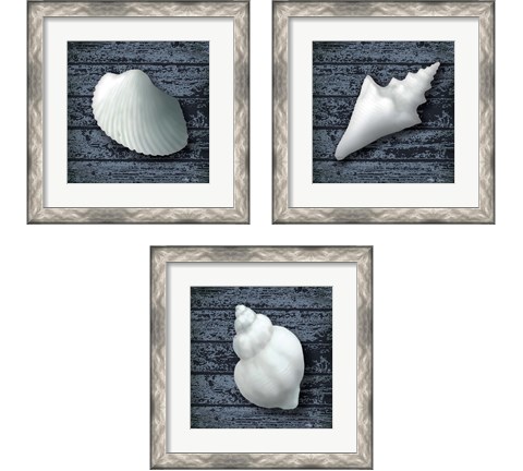 Seashore Shells Navy 3 Piece Framed Art Print Set by Marie-Elaine Cusson