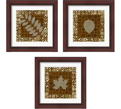 Shades of Brown 3 Piece Framed Art Print Set by Alonzo Saunders