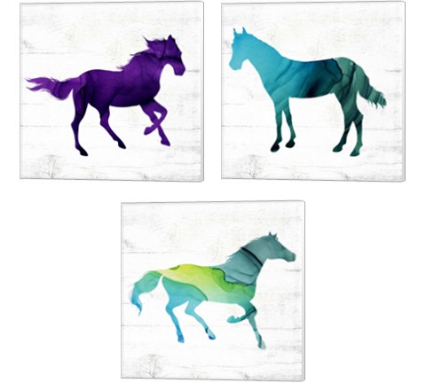 Horse 3 Piece Canvas Print Set by Valerie Wieners