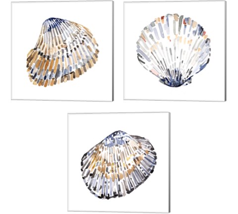 Simple Shells 3 Piece Canvas Print Set by Emma Caroline