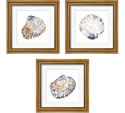 Simple Shells 3 Piece Framed Art Print Set by Emma Caroline
