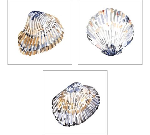 Simple Shells 3 Piece Art Print Set by Emma Caroline
