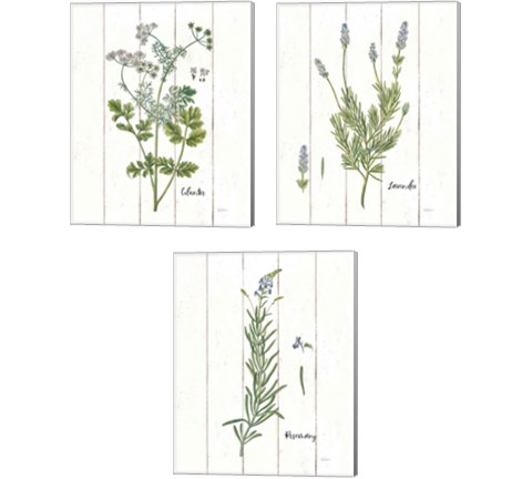 Cottage Herbs 3 Piece Canvas Print Set by Sue Schlabach