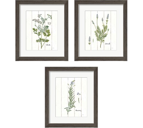 Cottage Herbs 3 Piece Framed Art Print Set by Sue Schlabach