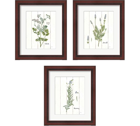 Cottage Herbs 3 Piece Framed Art Print Set by Sue Schlabach