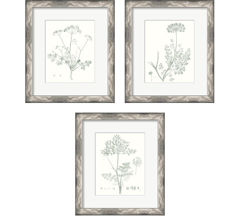 Botanical Study in Sage 3 Piece Framed Art Print Set by Vision Studio