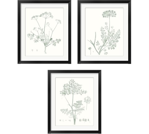 Botanical Study in Sage 3 Piece Framed Art Print Set by Vision Studio