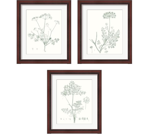 Botanical Study in Sage 3 Piece Framed Art Print Set by Vision Studio