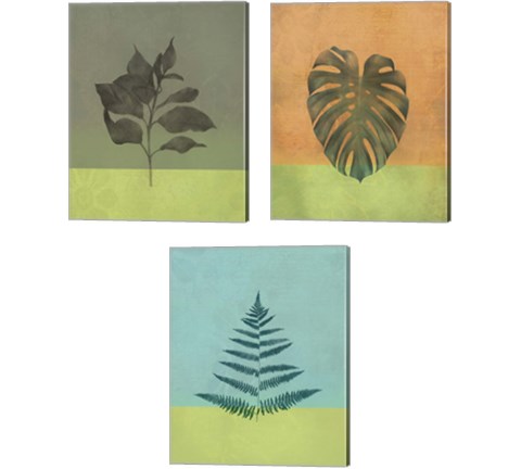 Green Botanicals 3 Piece Canvas Print Set by JMB Designs