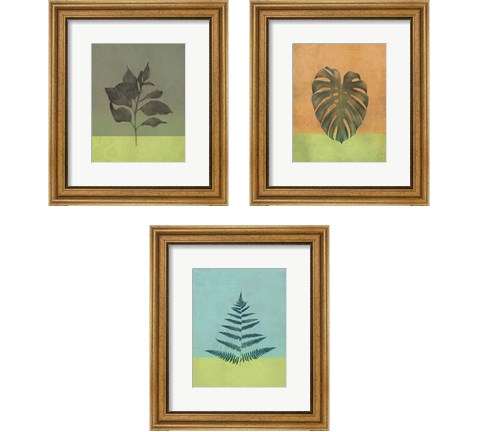 Green Botanicals 3 Piece Framed Art Print Set by JMB Designs
