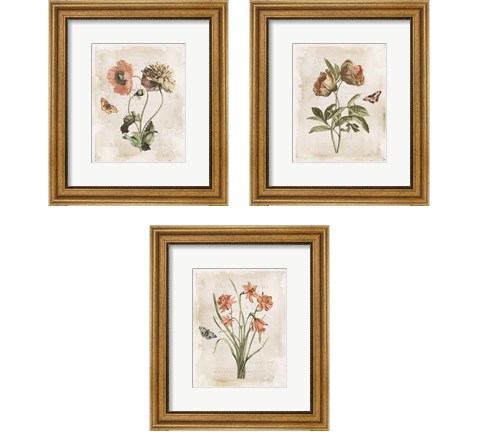 Antiquarian Blooms 3 Piece Framed Art Print Set by Katie Pertiet