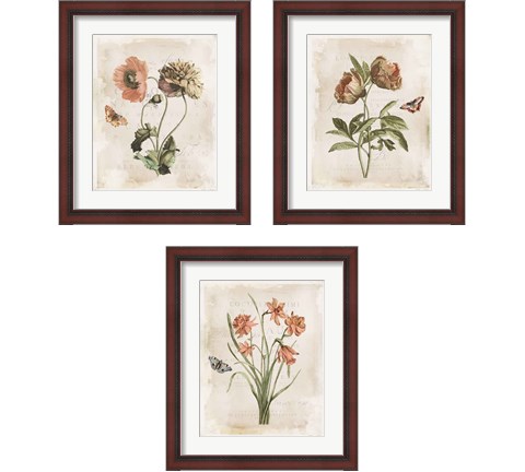 Antiquarian Blooms 3 Piece Framed Art Print Set by Katie Pertiet