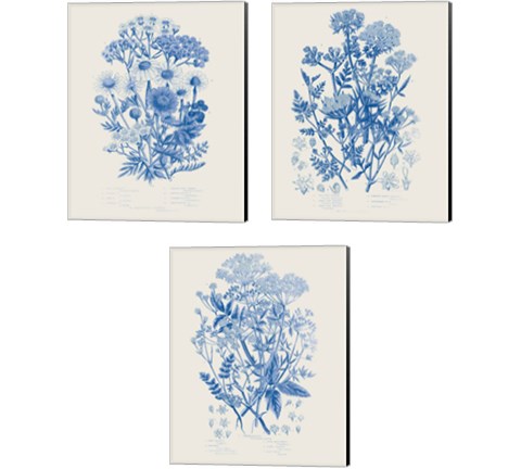 Flowering Plants 3 Piece Canvas Print Set by Wild Apple Portfolio