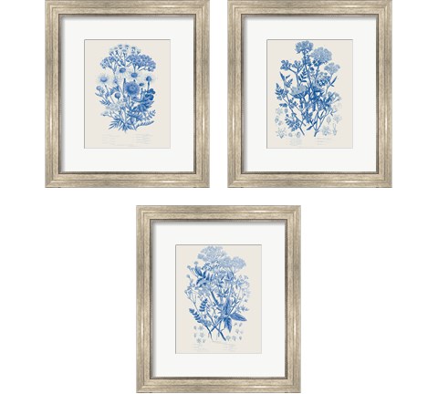 Flowering Plants 3 Piece Framed Art Print Set by Wild Apple Portfolio