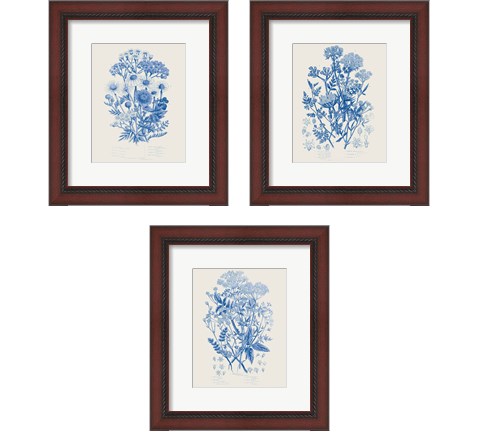 Flowering Plants 3 Piece Framed Art Print Set by Wild Apple Portfolio