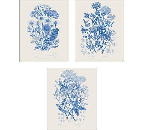 Flowering Plants 3 Piece Art Print Set by Wild Apple Portfolio