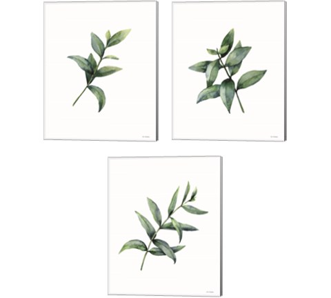 Eucalyptus  3 Piece Canvas Print Set by Seven Trees Design