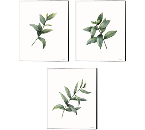Eucalyptus  3 Piece Canvas Print Set by Seven Trees Design