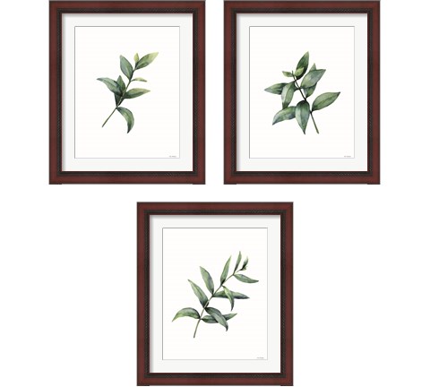 Eucalyptus  3 Piece Framed Art Print Set by Seven Trees Design