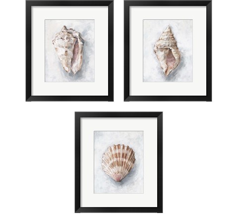 White Shell Study 3 Piece Framed Art Print Set by Ethan Harper