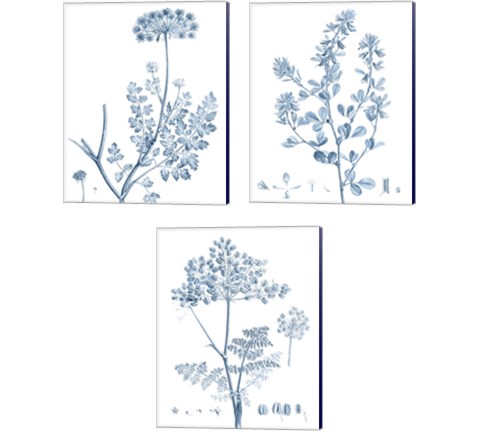 Antique Botanical in Blue 3 Piece Canvas Print Set by Vision Studio