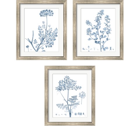 Antique Botanical in Blue 3 Piece Framed Art Print Set by Vision Studio