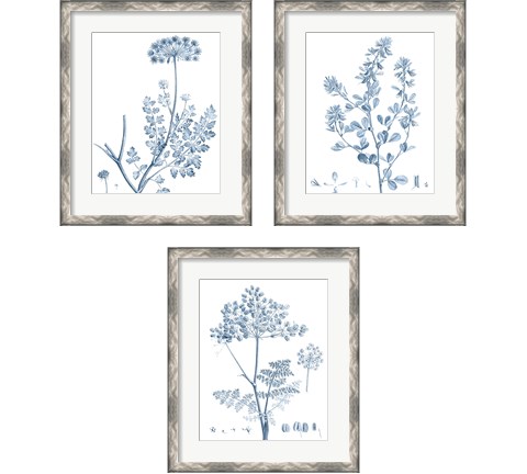 Antique Botanical in Blue 3 Piece Framed Art Print Set by Vision Studio