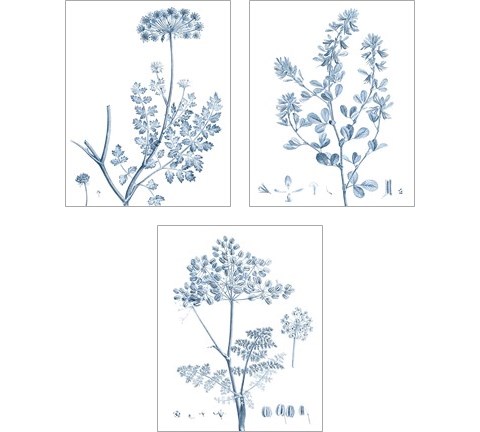 Antique Botanical in Blue 3 Piece Art Print Set by Vision Studio
