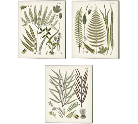 Fanciful Ferns 3 Piece Canvas Print Set