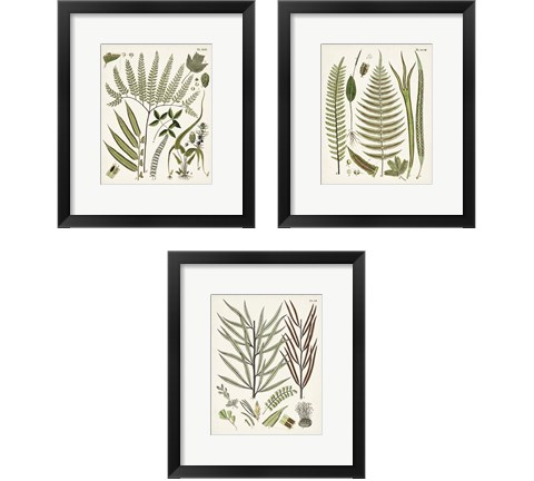 Fanciful Ferns 3 Piece Framed Art Print Set