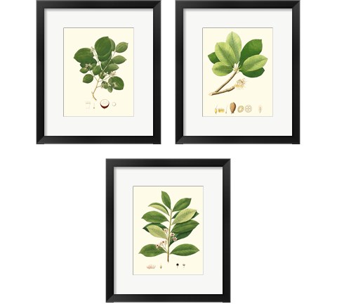 Spring Green Foliage 3 Piece Framed Art Print Set