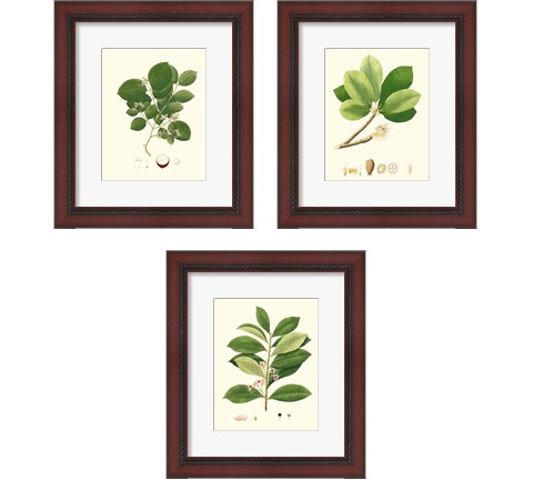 Spring Green Foliage 3 Piece Framed Art Print Set